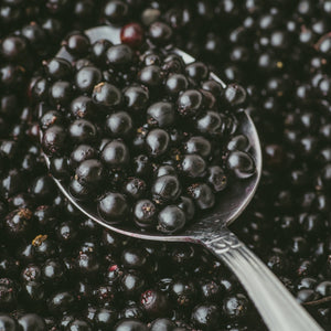 Organic Elderberry Syrup Recipe